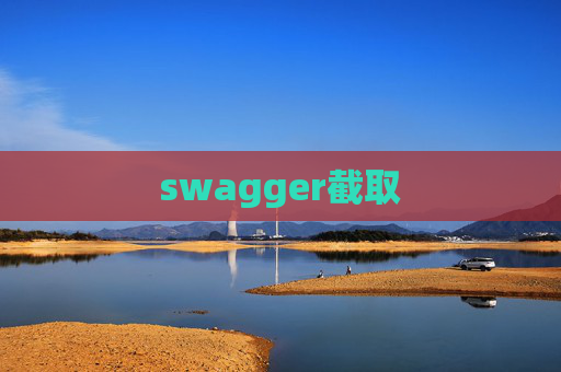 swagger截取
